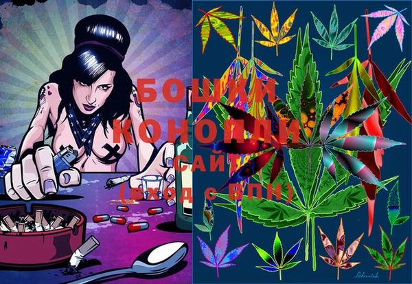 ECSTASY Вяземский