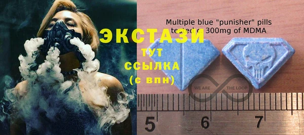 ECSTASY Вяземский