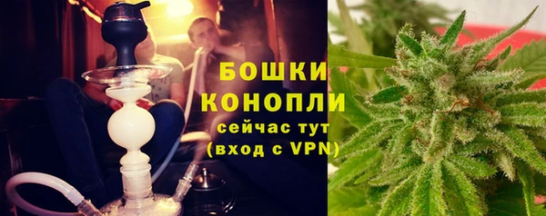ECSTASY Вяземский