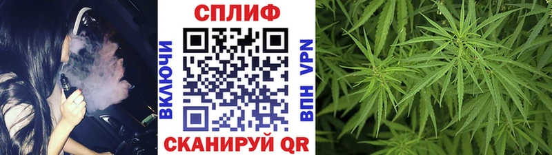 Шишки марихуана THC 21% где продают MEGA вход Данилов